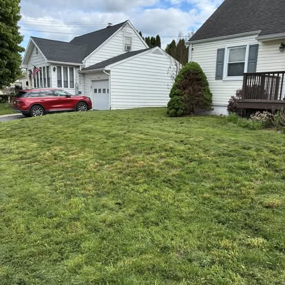 Lawn after service