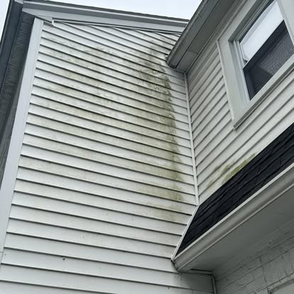 Siding before cleaning